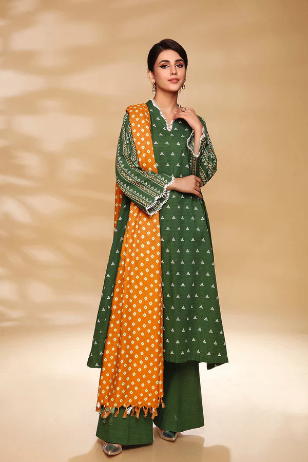 NISHAT 3PC Printed Khaddar